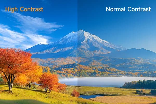 High Contrast